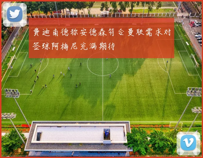 费迪南德称安德森符合曼联需求对签琼阿梅尼充满期待