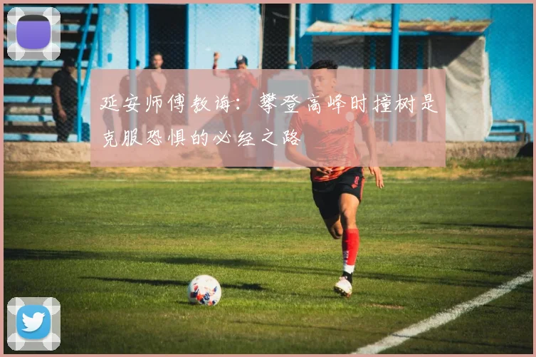 延安师傅教诲：攀登高峰时撞树是克服恐惧的必经之路